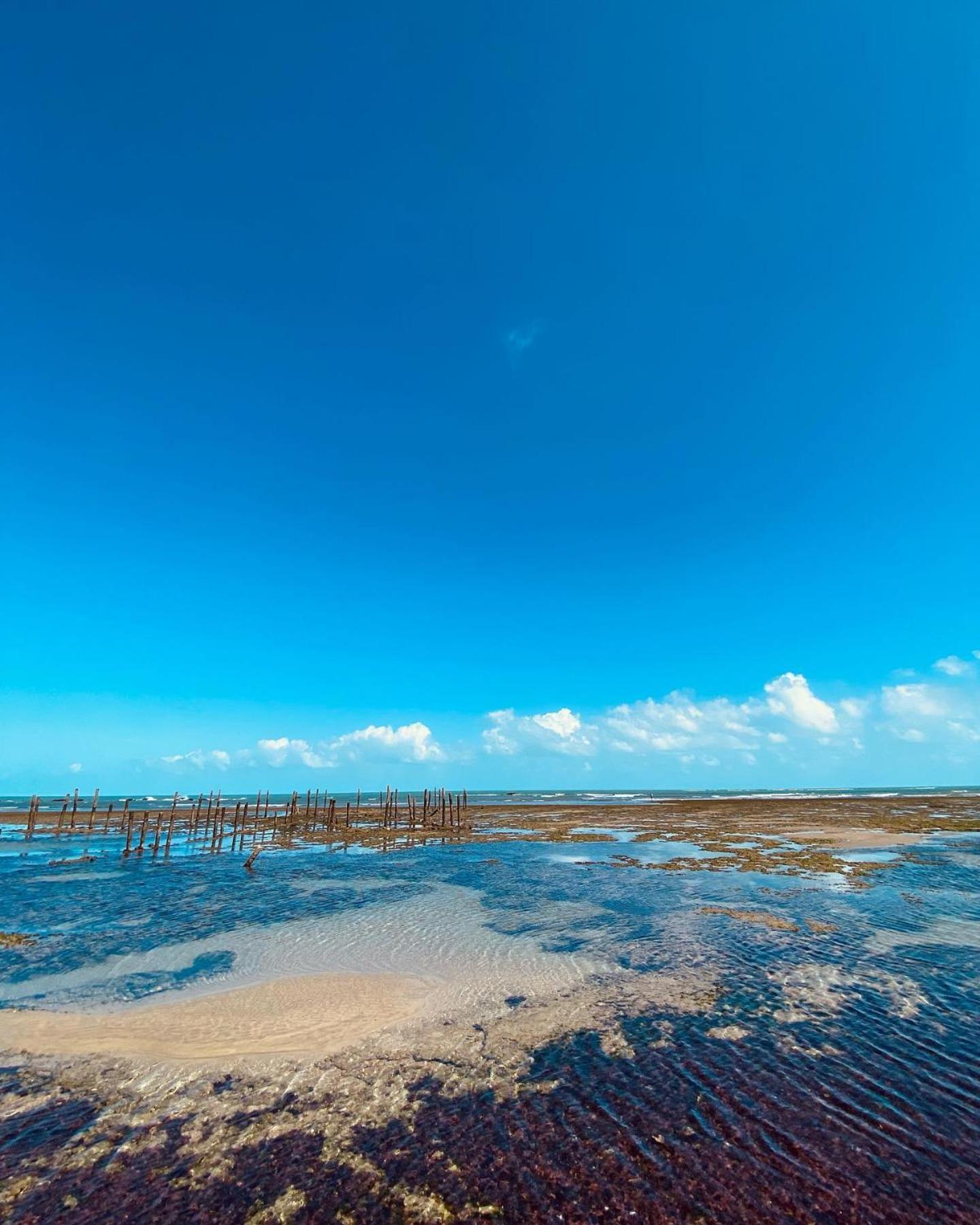Pousada Janelas Do Mar Flecheiras Εξωτερικό φωτογραφία
